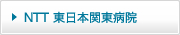 NTT {֓a@